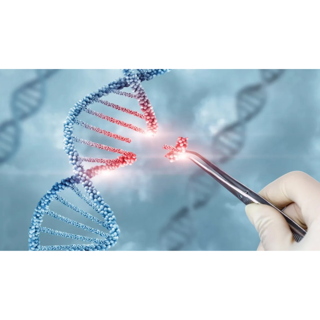 Um resumo sobre as terapias genéticas que estão em teste para Síndrome de Rett